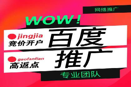 信息流广告投放公司：成功案例解析